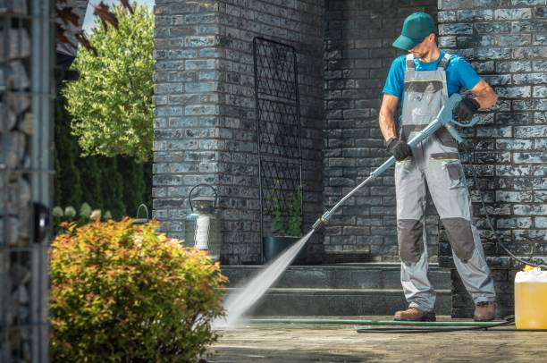 Best Graffiti Removal  in China Grove, TX