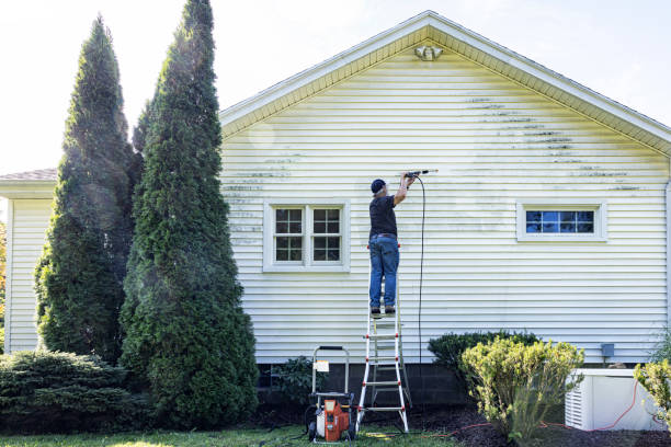 Best House Exterior Washing  in China Grove, TX